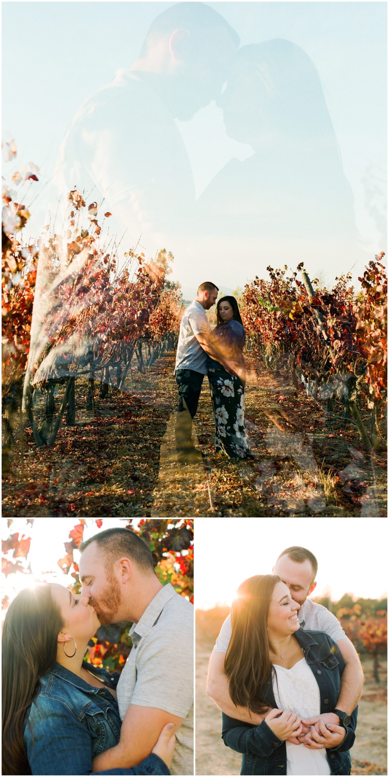Saintsbury Winery Engagement Session, Jennifer Clapp Wedding Photography