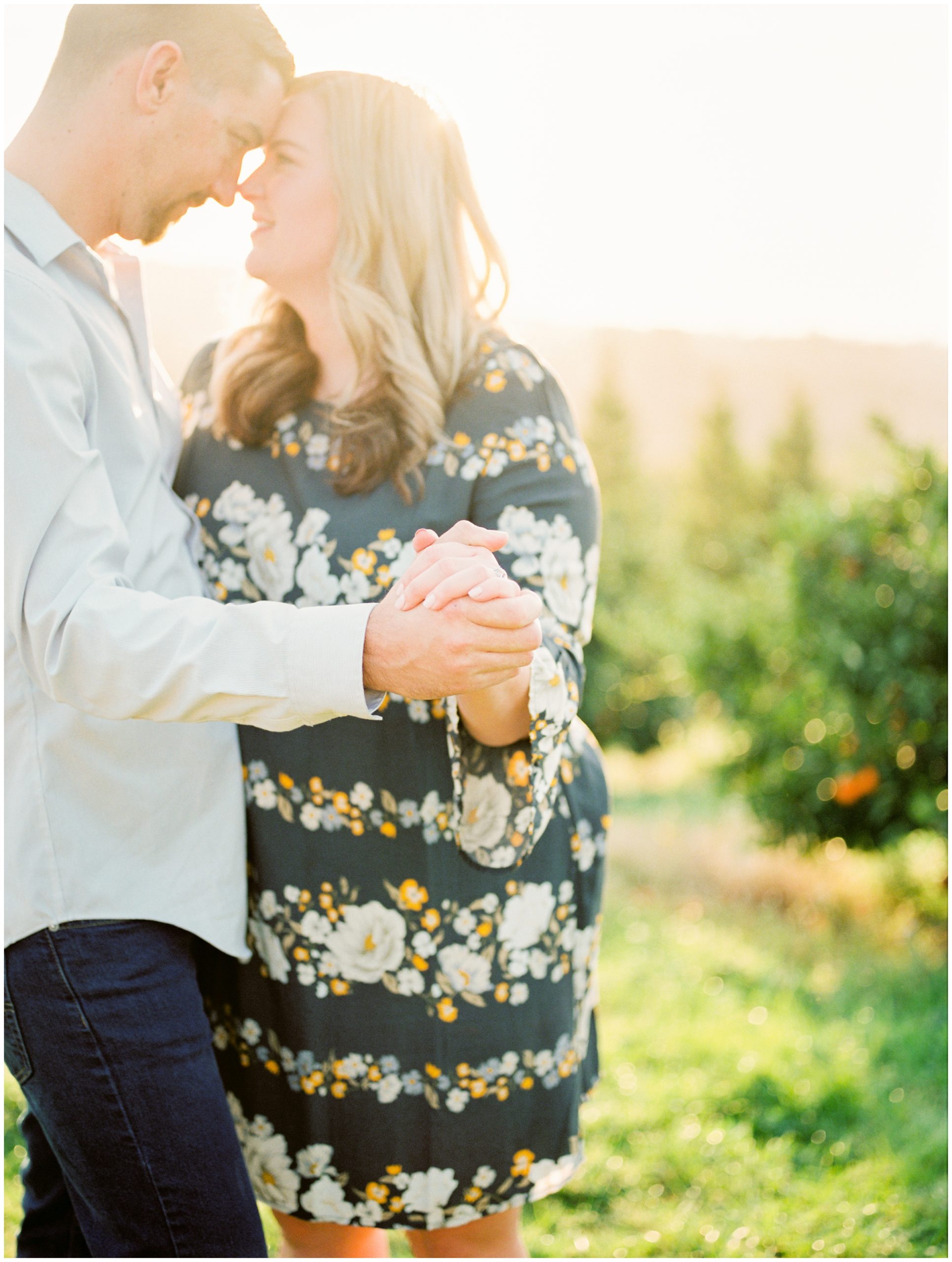 Sunset engagement shoot on a Mandarin orchard outside of Sacramento, California